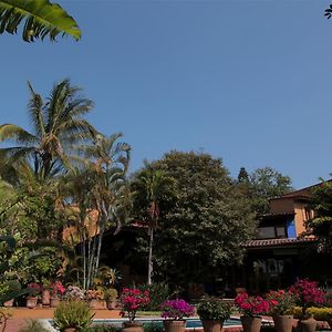 Orchidelirium Casa Hotel&Salud Estética